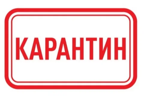 В Башкирии на карантин по гриппу закрыты две школы и один детсад